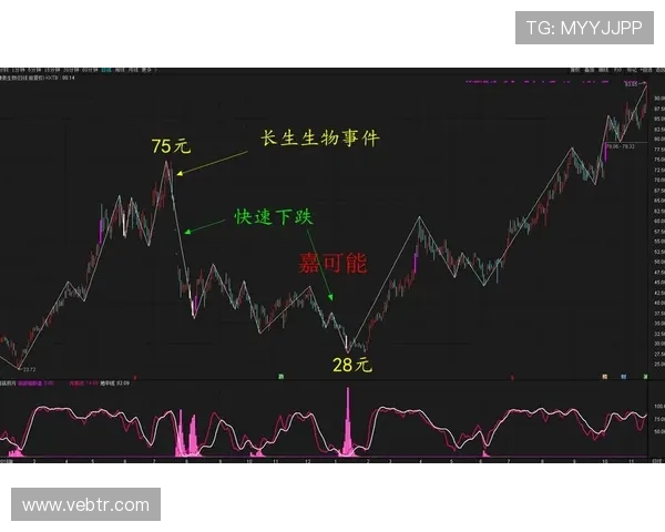 B体育滚球盘实战经验分享帮助新手快速入门实现稳健盈利